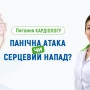 Питання кардіологу: панічна атака чи серцевий напад? - TOP Clinic DENIS